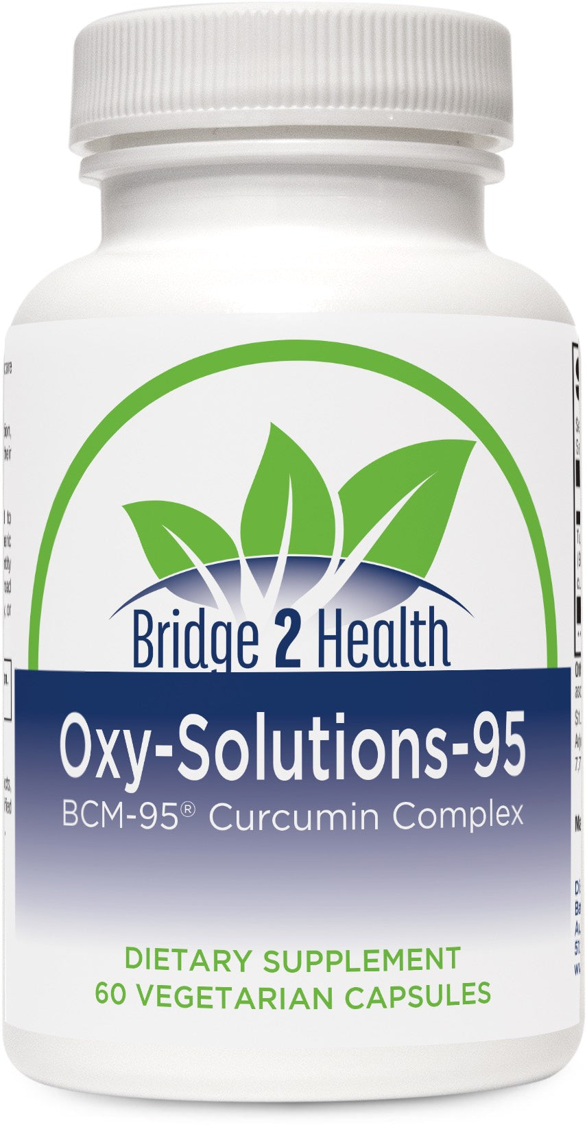 Oxy-Solutions-95. (BCM-95 Curcumin Complex Turmeric)