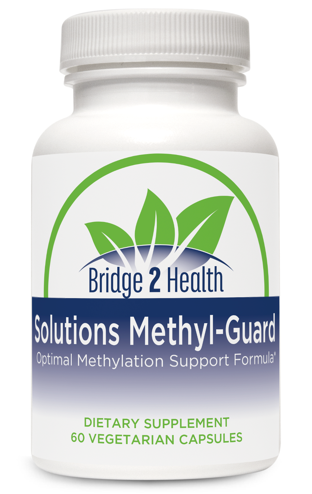 Solutions Methyl-Guard (Optimal Methylation Support Formula)
