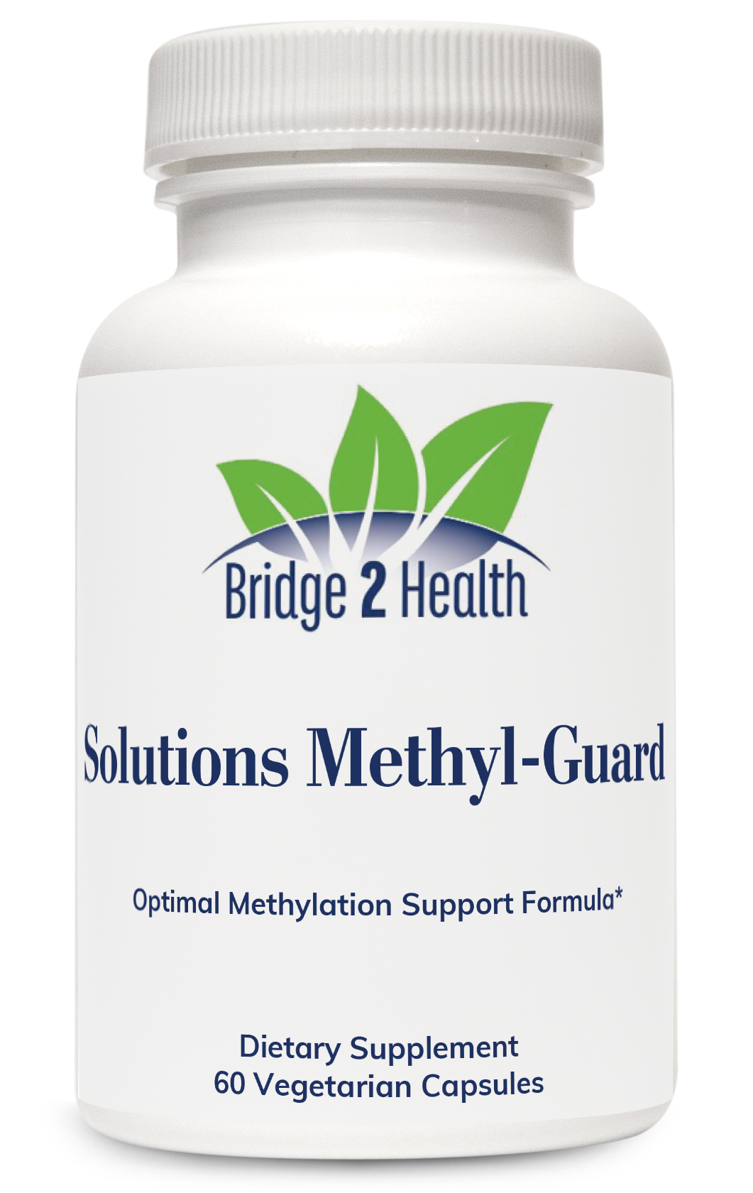 Solutions Methyl-Guard (Optimal Methylation Support Formula)