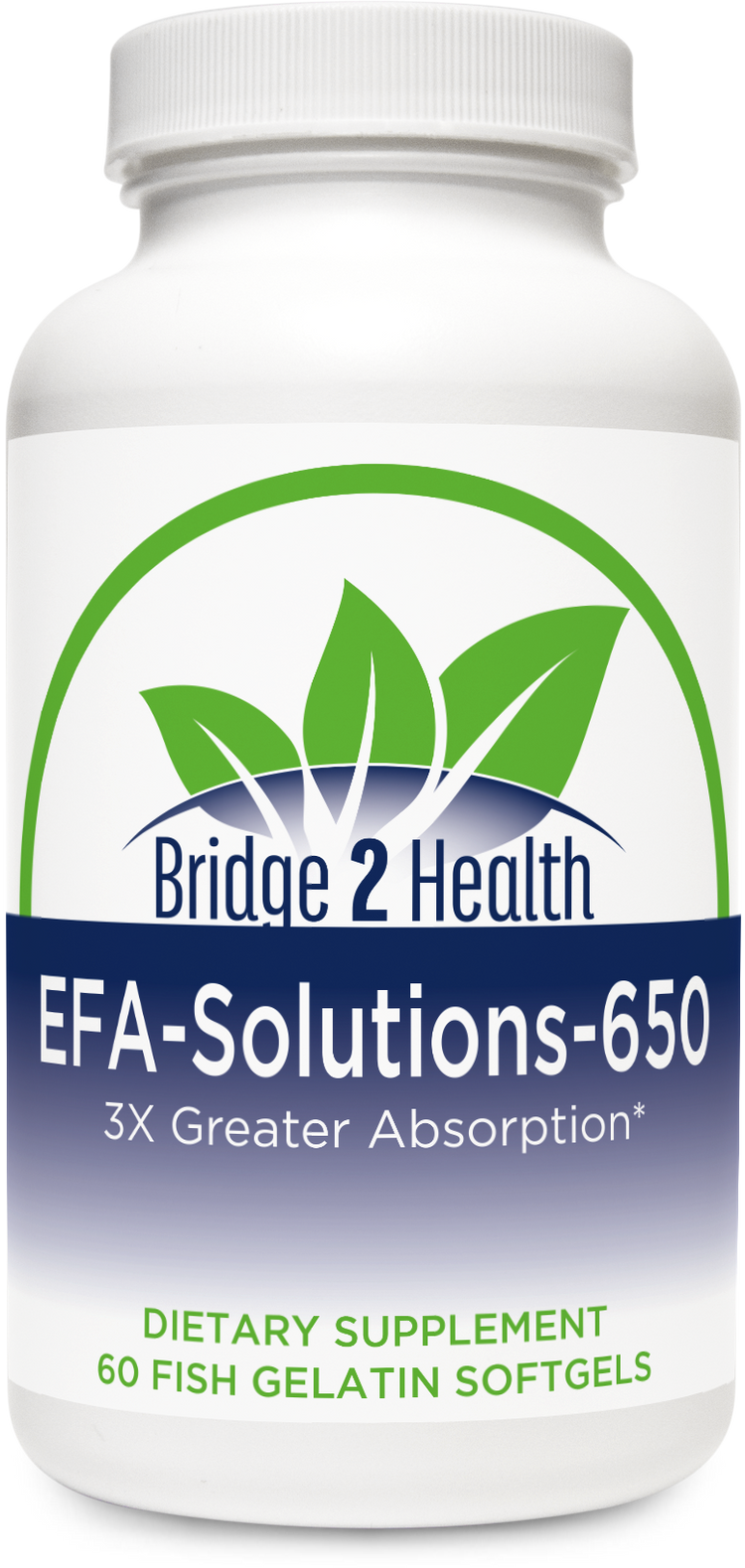 EFA-Solutions-650.