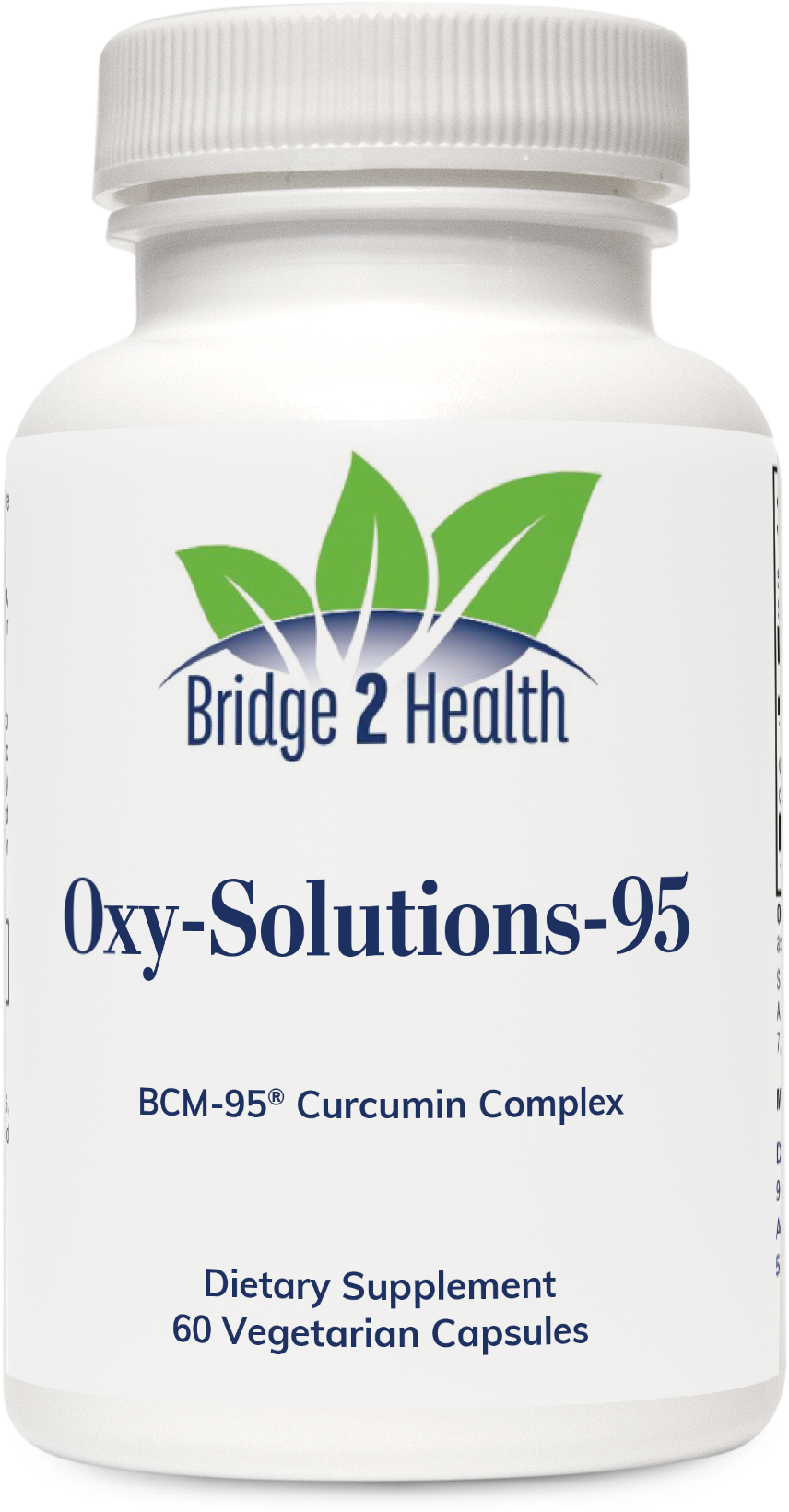 Oxy-Solutions-95.    (BCM-95 Curcumin Complex Turmeric)